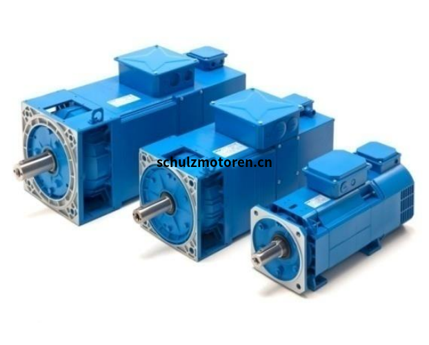 OEMER IE4永磁三相同步电机 QS 132P OEMER IE4永磁三相同步电机 QS 132P