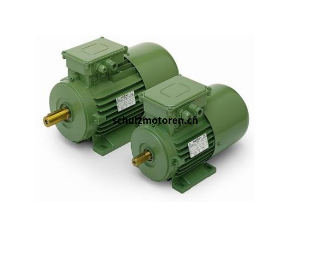 OEMER IE4永磁三相同步电机 QS 160L OEMER IE4永磁三相同步电机 QS 160L