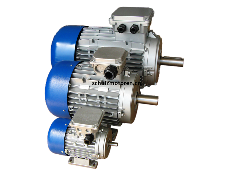 MTmotori DN56C三相异步电机